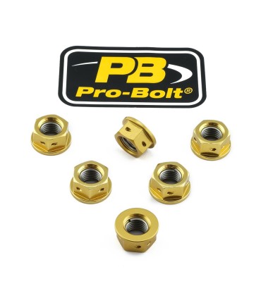 NUT SET SPROCKET 10X1.25 GD