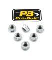 NUT SET SPROCKET 10X1.25 SLV