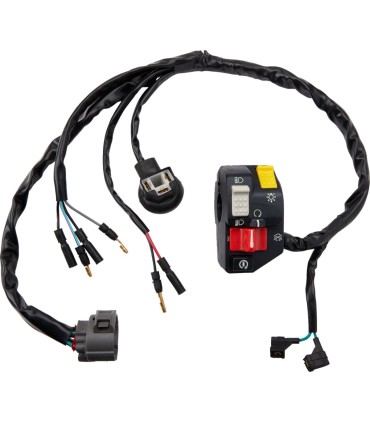 SWITCH BLOCK ASSEMBLY HONDA