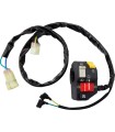 SWITCH BLOCK ASSEMBLY HONDA