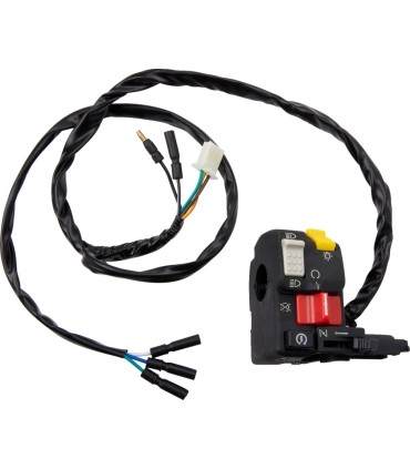 SWITCH BLOCK ASSEMBLY HONDA