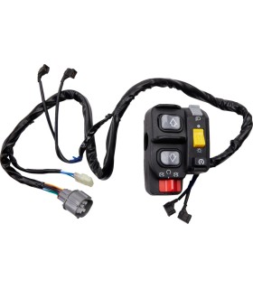 SWITCH BLOCK ASSEMBLY HONDA
