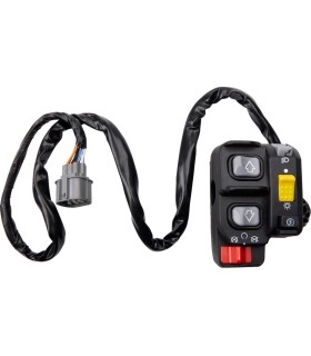 SWITCH BLOCK ASSEMBLY HONDA