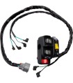 SWITCH BLOCK ASSEMBLY HONDA