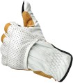GANT BORREGO CEMENT XS