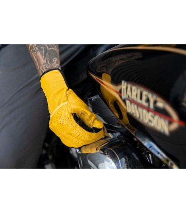 GLOVE BORREGO GOLD XS